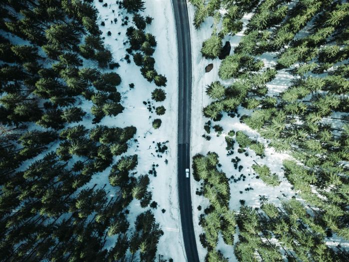 Drohnenaufnahme einer Straße durch den Wald