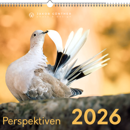Kalenderdeckblatt Wilde Perspektiven 2026