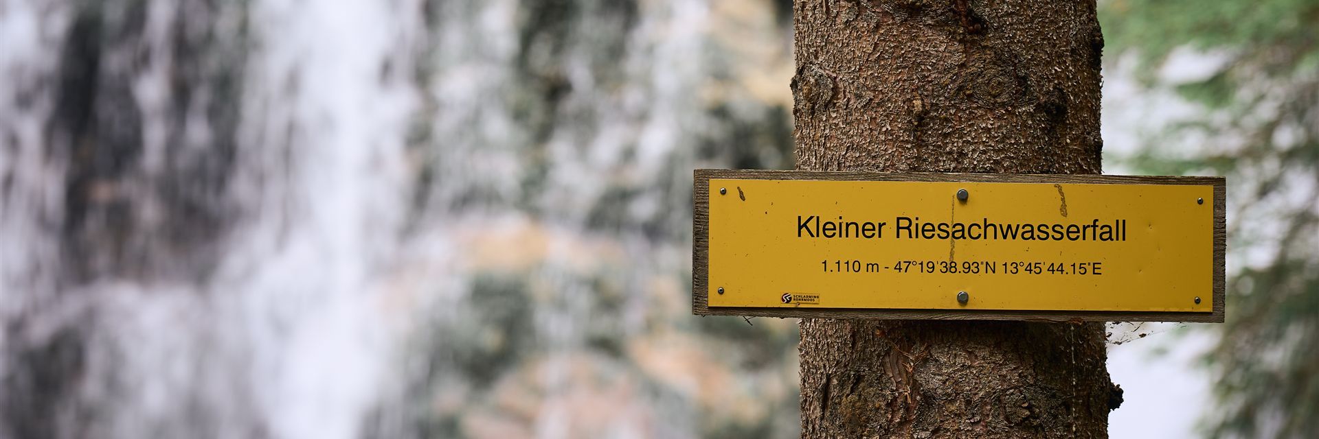 Schild auf einem Baum mit der Aufschrift 