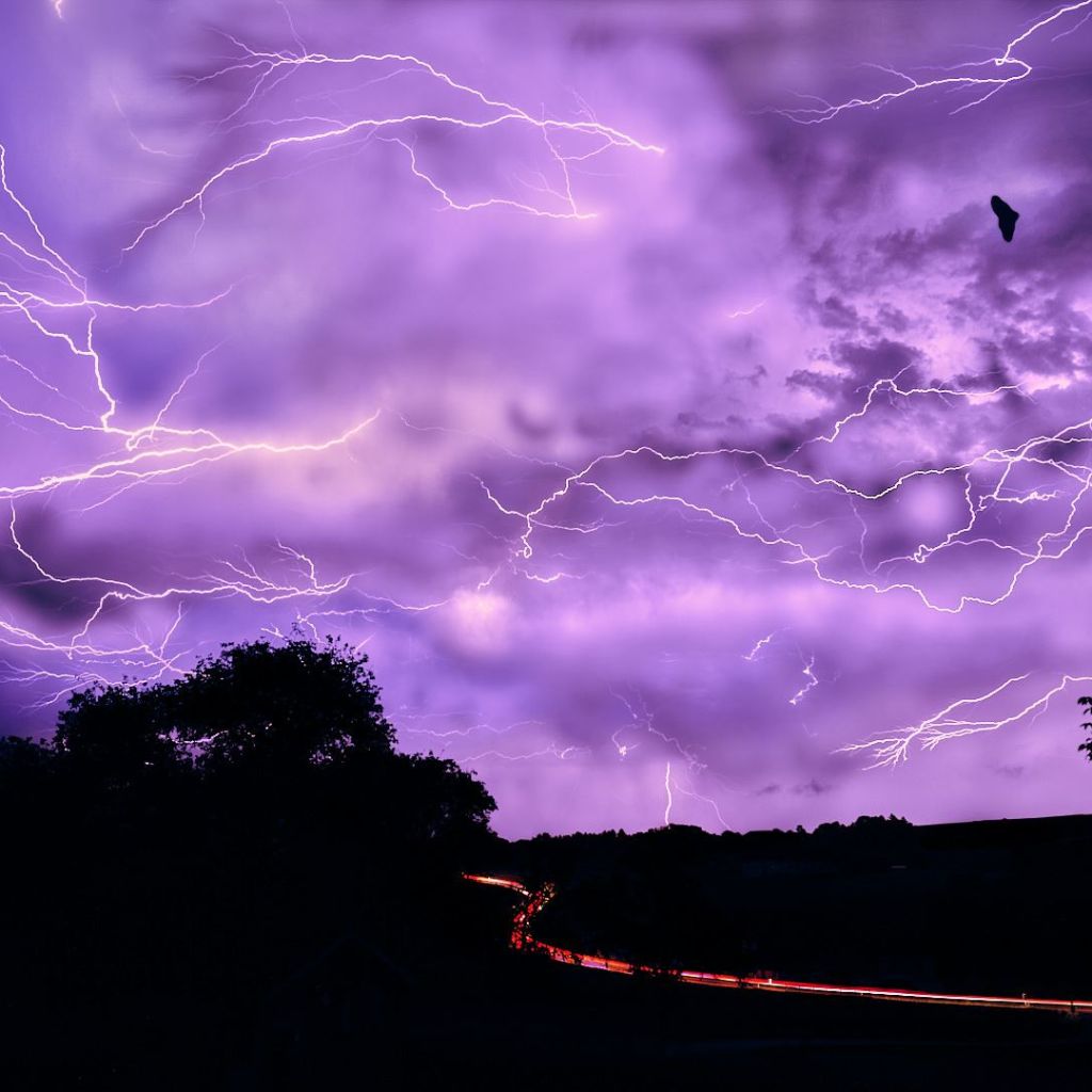 Mehrfachbelichtung einer Gewitternacht mit Blitzen und einer Fledermaus.