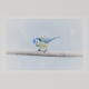 Render eines Fine Art Prints mit dem Motiv einer Blaumeise im Schneegestöber