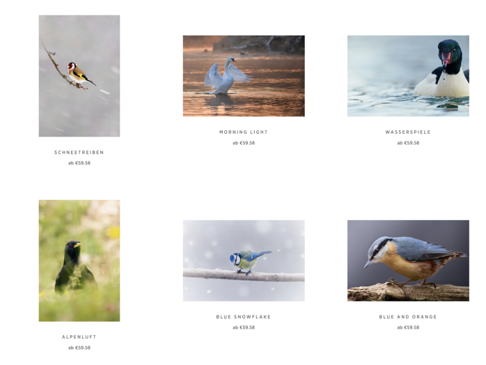 FineArt Shop Vorschaubild